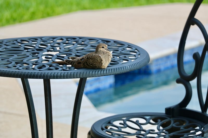 Upcycled patio decor